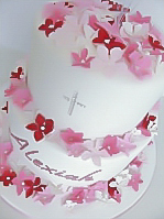 Butterflies Blossoms Christening Cake for girls