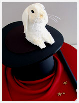 magician's hat novelty cake